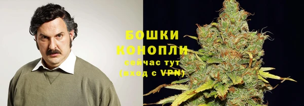 молекула духа Горнозаводск