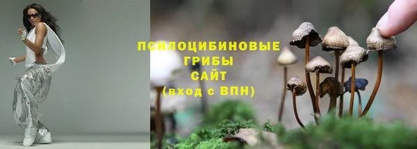 герыч Горняк