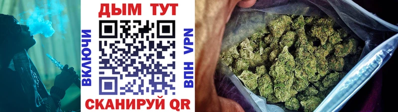Купить где Дагестанские Огни Бошки Шишки OG Kush
